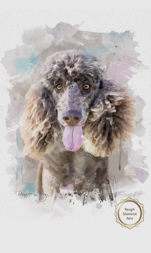 painted pet portraits