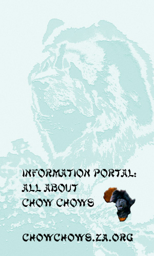 painted pet portraits