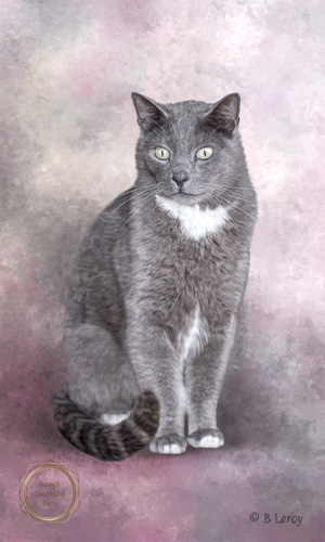 painted pet portraits