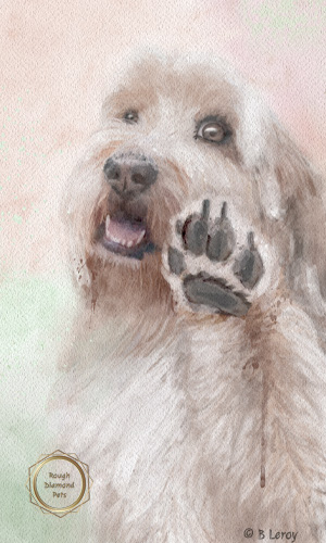 painted pet portraits