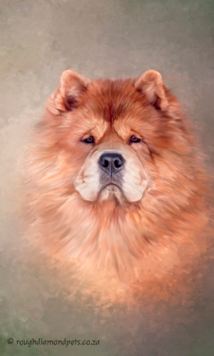 painted pet portraits