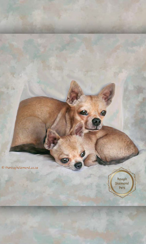 painted pet portraits