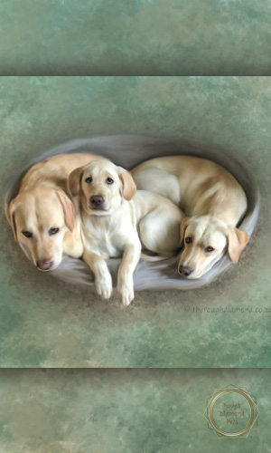 painted pet portraits