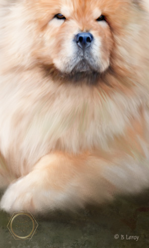 painted pet portraits