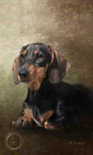 painted pet portraits
