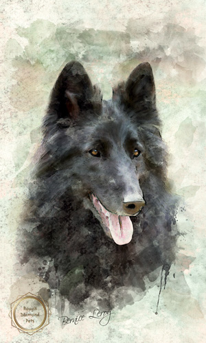 painted pet portraits