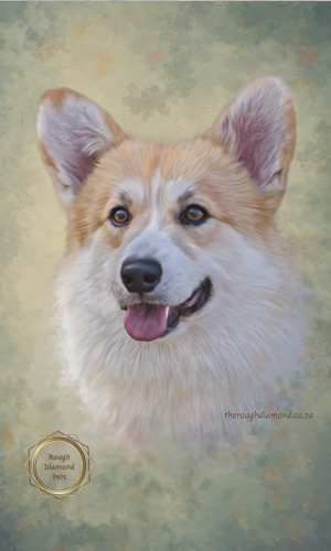 painted pet portraits