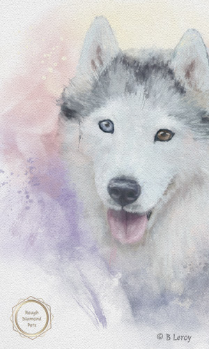 painted pet portraits