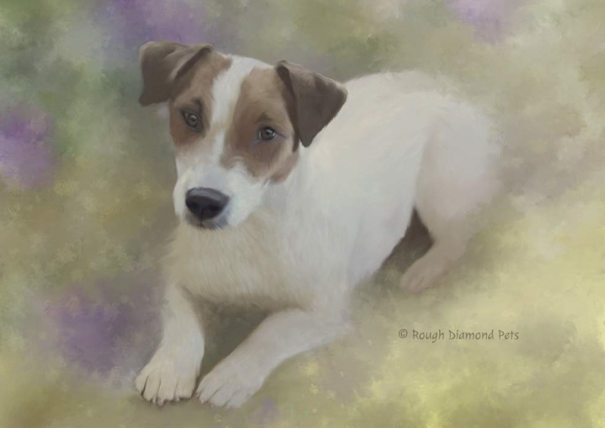 jack russel painting 
