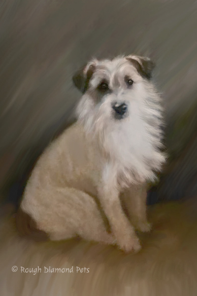 wire hair dog painting