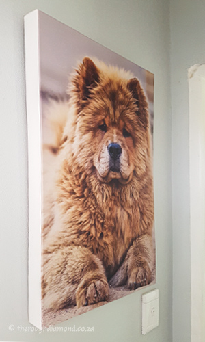 large stretched canvas